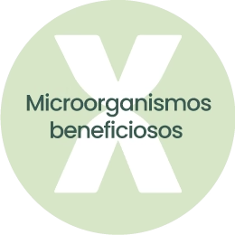 Microorganismos beneficiosos