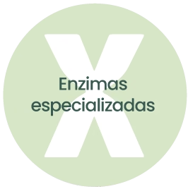 Enzimas especializadas